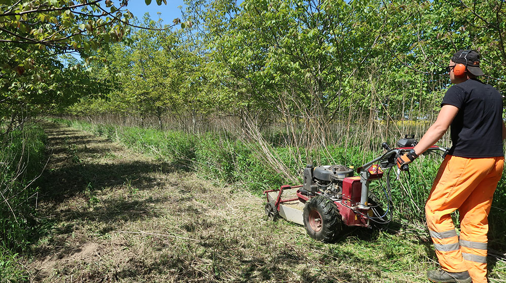 Dlaczego warto korzystać z naszych usług?